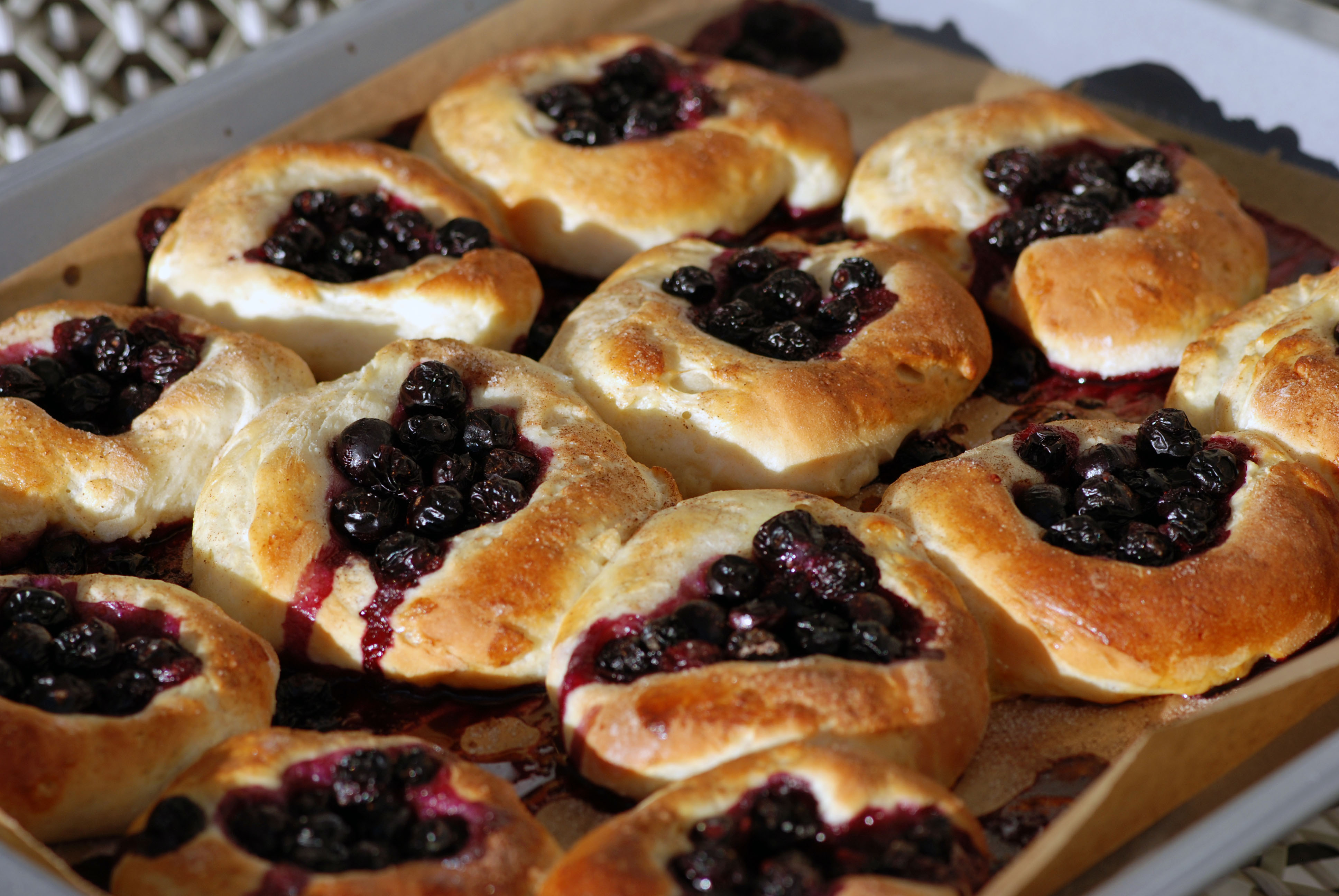 Bullar mit Blaubeeren